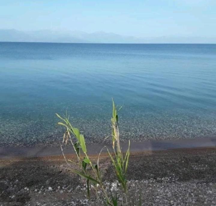 Golden Sea Villa Kalamata Bagian luar foto