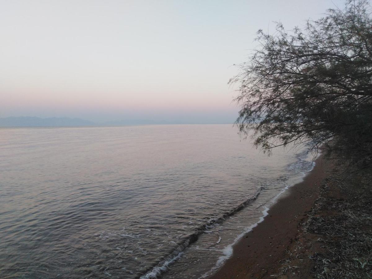 Golden Sea Villa Kalamata Bagian luar foto